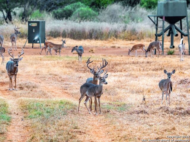 Listing photo id 74 for 10927 Fm 2146