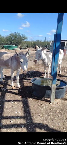 Image 12 of 15 For 1588 Pr 1688 Four X Rd