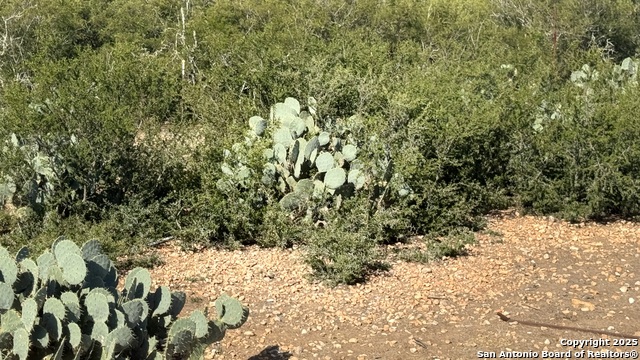 Image 14 of 15 For 1588 Pr 1688 Four X Rd