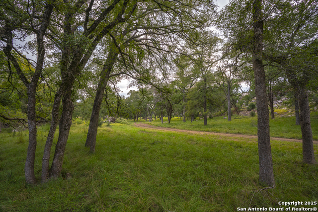 Image 10 of 40 For 247 Betty