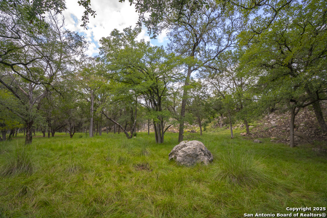 Image 11 of 40 For 247 Betty