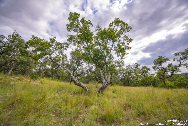 Image 12 of 40 For 247 Betty
