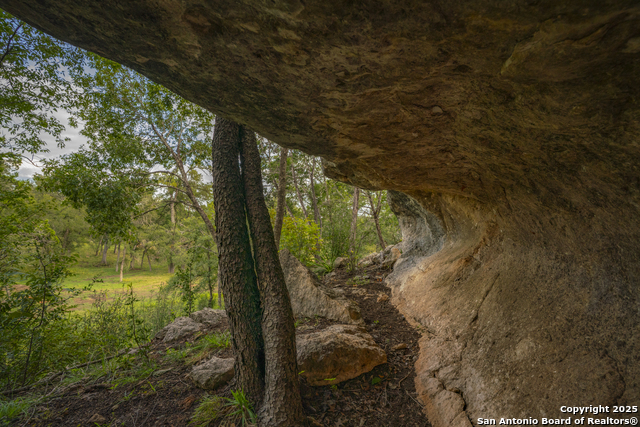 Image 13 of 40 For 247 Betty