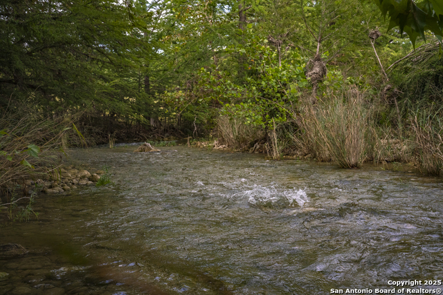 Image 14 of 40 For 247 Betty