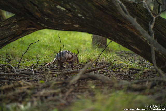 Image 15 of 40 For 247 Betty