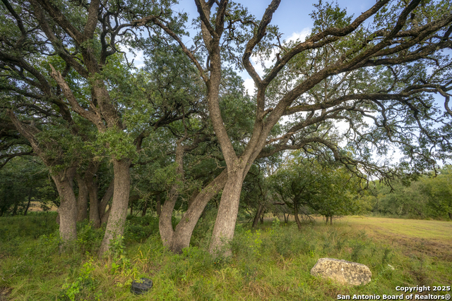 Image 16 of 40 For 247 Betty