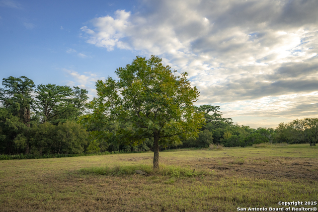 Image 17 of 40 For 247 Betty