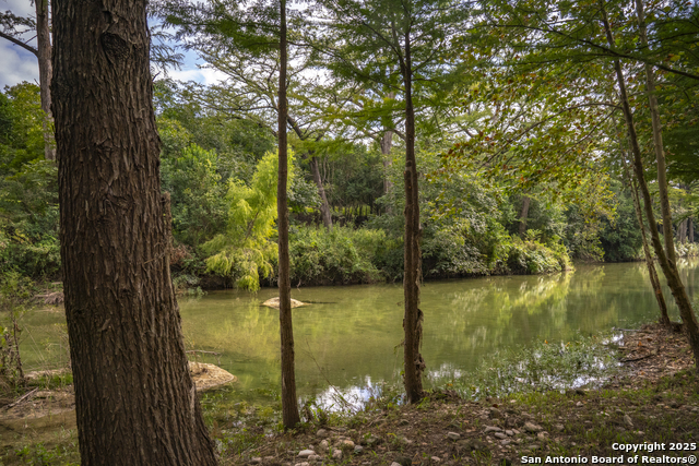 Image 38 of 40 For 247 Betty