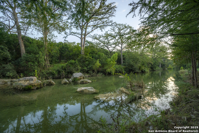 Image 7 of 40 For 247 Betty