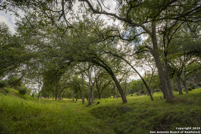 Image 8 of 40 For 247 Betty