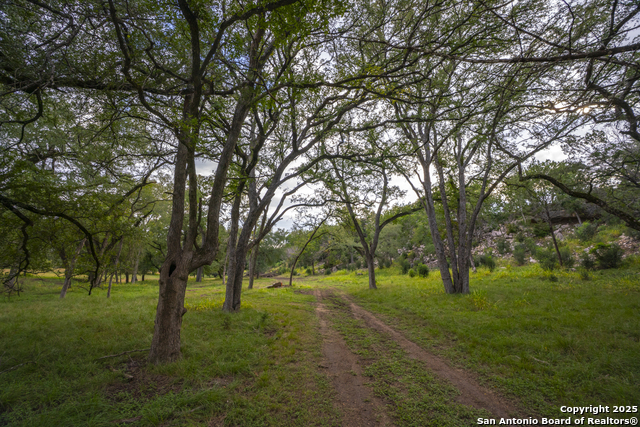 Image 9 of 40 For 247 Betty