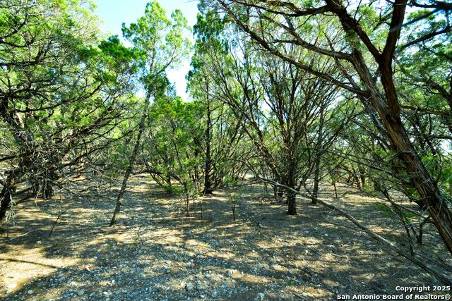 Listing photo id 15 for 000 Private Road 1708 W
