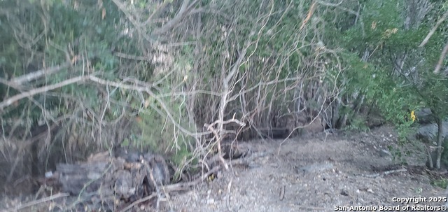 Image 16 of 22 For 717 Dittlinger