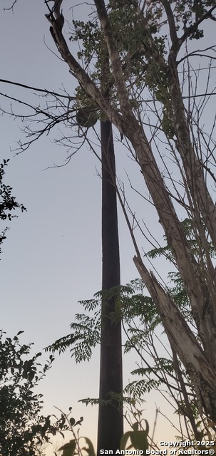 Image 20 of 22 For 717 Dittlinger