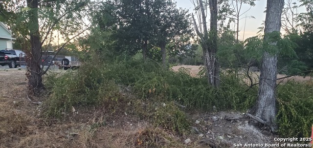 Image 3 of 22 For 717 Dittlinger