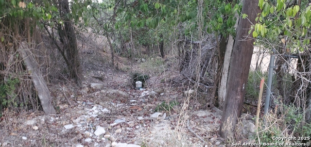 Image 9 of 22 For 717 Dittlinger