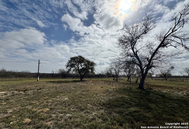 Image 4 of 9 For 299-115 Cr 779