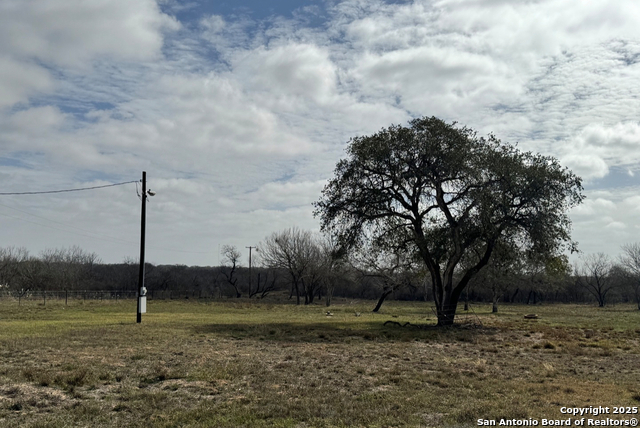 Image 8 of 9 For 299-115 Cr 779