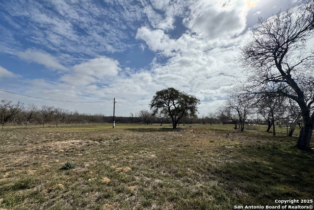 Image 9 of 9 For 299-115 Cr 779