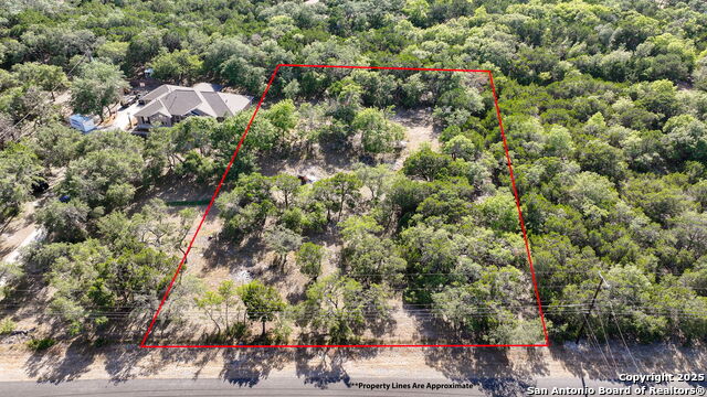 Image 2 of 8 For Lot 77 Okent