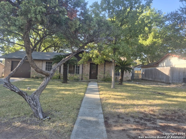 Image 2 of 46 For 205 Maple Dr.