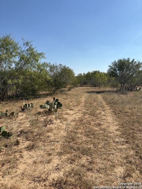 Listing photo id 2 for Tbd County Road 741