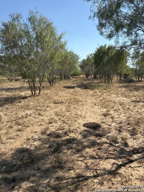 Listing photo id 3 for Tbd County Road 741