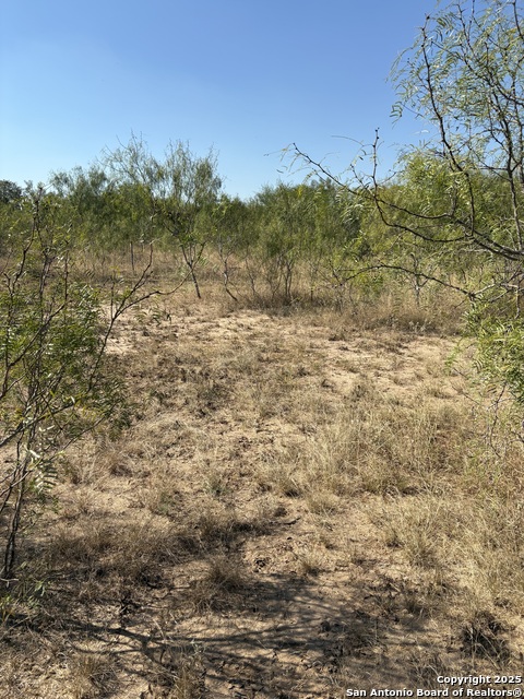 Listing photo id 4 for Tbd County Road 741