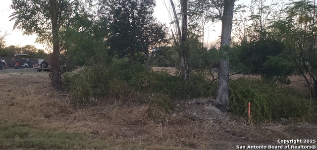 Details for 747 Dittlinger, New Braunfels, TX 78130