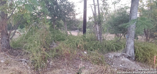 Image 11 of 16 For 747 Dittlinger