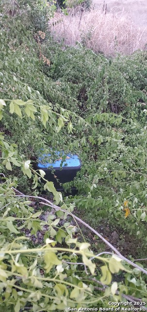 Image 12 of 16 For 747 Dittlinger