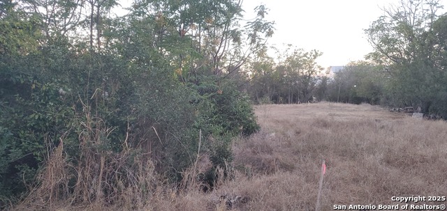 Image 15 of 16 For 747 Dittlinger