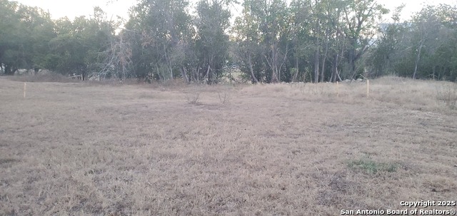 Image 16 of 16 For 747 Dittlinger