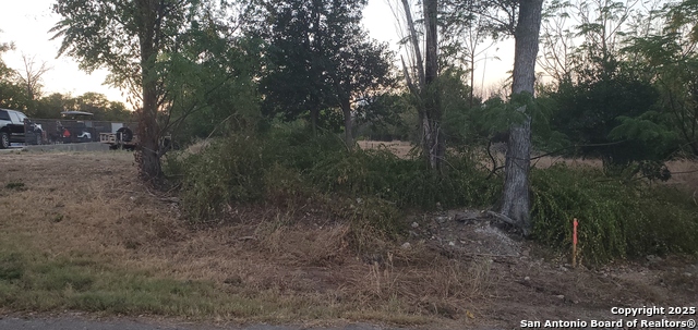 Image 2 of 16 For 747 Dittlinger