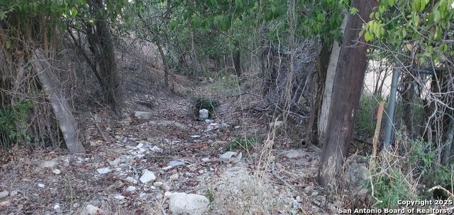 Image 5 of 16 For 747 Dittlinger