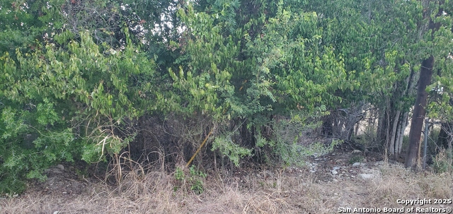 Image 7 of 16 For 747 Dittlinger