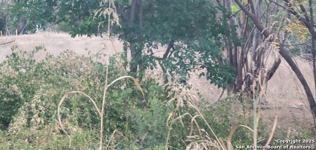 Image 8 of 16 For 747 Dittlinger