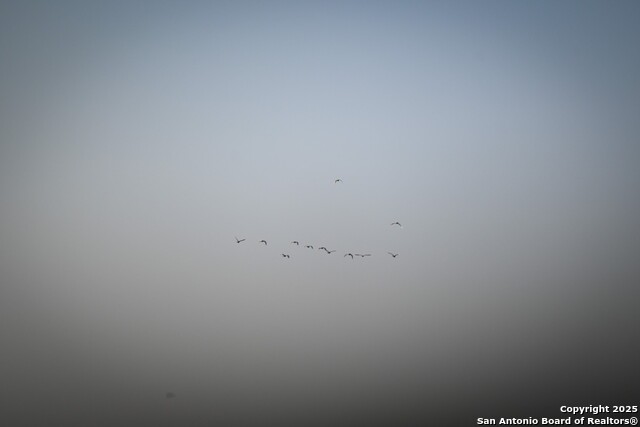 Listing photo id 16 for Lot 36 County Road 2500