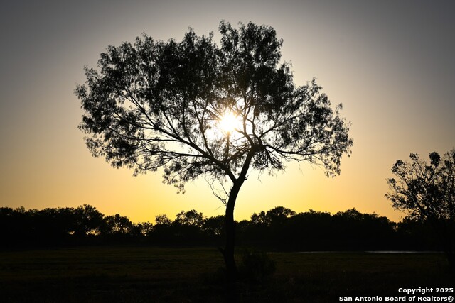 Listing photo id 18 for Lot 36 County Road 2500