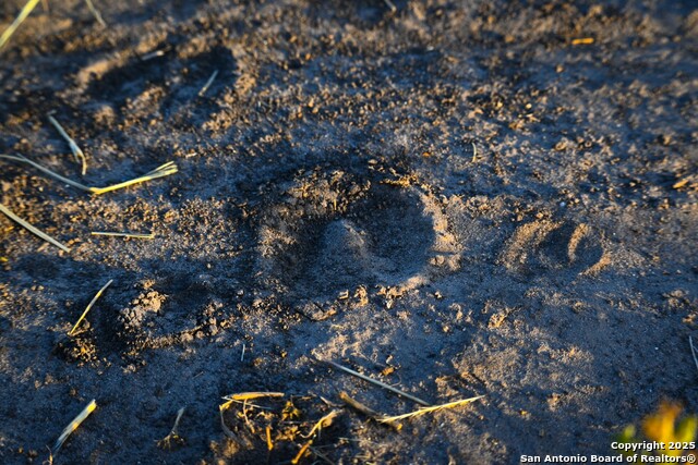 Listing photo id 19 for Lot 36 County Road 2500