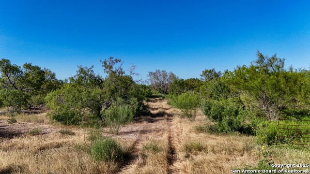 Listing photo id 33 for Lot 36 County Road 2500