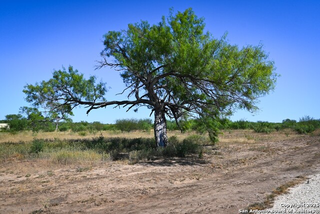 Listing photo id 4 for Lot 36 County Road 2500