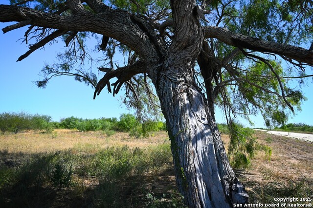 Listing photo id 5 for Lot 36 County Road 2500