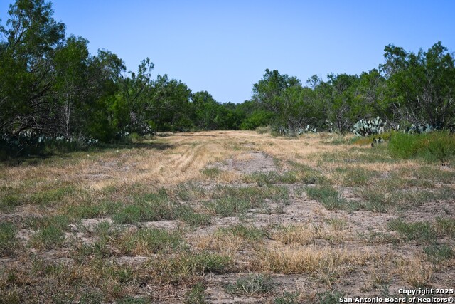 Listing photo id 7 for Lot 36 County Road 2500