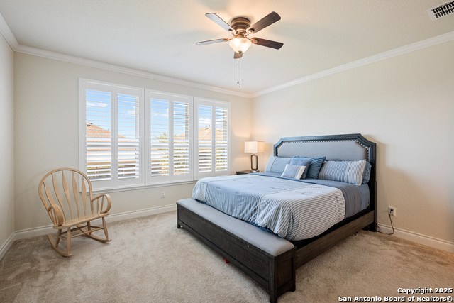 Image 17 of 49 For 3603 Daisy Spg