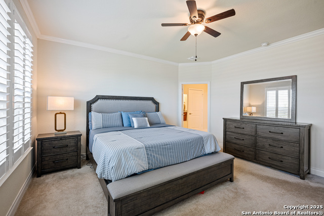 Image 18 of 49 For 3603 Daisy Spg