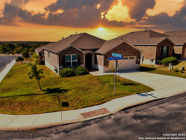 Image 36 of 49 For 3603 Daisy Spg