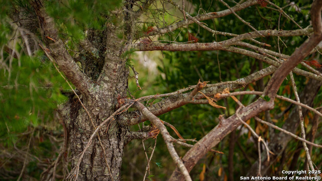 Listing photo id 8 for Tbd Rm 2523  