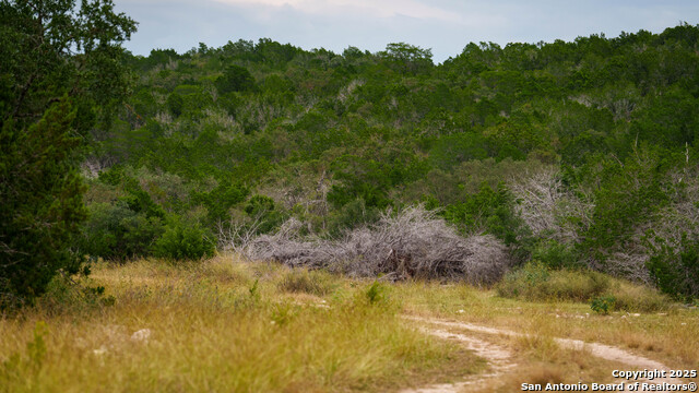 Listing photo id 9 for Tbd Rm 2523  