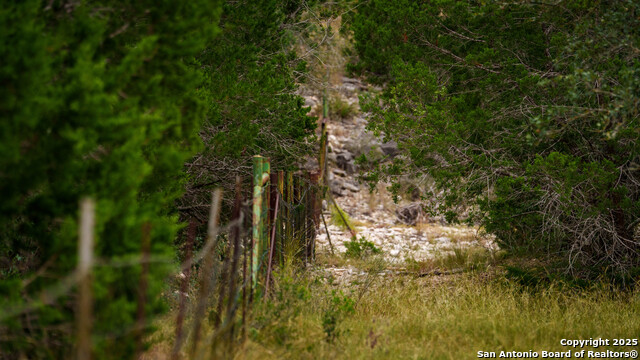 Listing photo id 10 for Tbd Rm 2523  